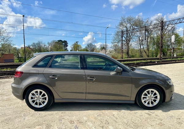 Audi A3 cena 34800 przebieg: 300000, rok produkcji 2014 z Wrocław małe 704